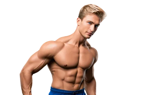 haegglund,clenbuterol,dawid,obliques,body building,cody,derivable,adrien,zanin,aljaz,kittel,sadik,topher,sportwear,carnitine,khavanov,physiques,muscleman,arnolt,decathlete,Unique,Paper Cuts,Paper Cuts 10