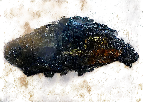panther mushroom,meteorite,meteor,strix nebulosa,microhylid,bison,ankylosaur,wood dung beetle,rainy leaf,ankylosaurus,chaga,vulpeculae,vulpecula,rain cloud,dung,terrapin,boar,head of panther,kakapo,drop of rain,Illustration,Retro,Retro 05
