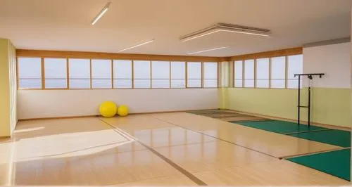 gymnastics room,tatami,shidokan,fitness room,japanese-style room,recreation room,fitness center,daitō-ryū aiki-jūjutsu,shorinji kempo,sōjutsu,rental studio,ryokan,leisure facility,indoor games and sports,aikido,gyokuro,treatment room,therapy room,judo,kajukenbo,Photography,General,Realistic