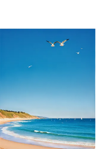 Calming ocean scene, sunny day, clear blue water, gentle waves, sandy beach shore, sailboat in distance, seagulls flying overhead, warm sunlight, shallow depth of field, 3/4 composition, cinematic lig