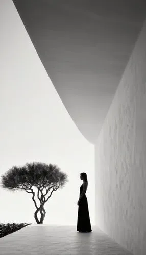 the japanese tree,bodhi tree,woman silhouette,buddhist monk,middle eastern monk,woman walking,monk,girl with tree,tree of life,the girl next to the tree,silk tree,argan tree,buddhist,bonsai,blackandwh