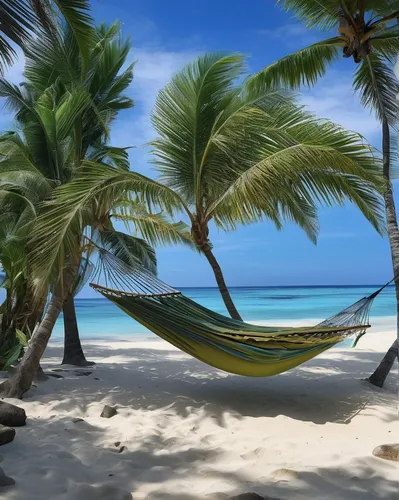 hammock,hammocks,deckchair,dominican republic,seychelles,caribbean beach,umbrella beach,tropical beach,cuba beach,mauritius,sunlounger,coconut palms,dream beach,caribbean,beach tent,deckchairs,barbados,the caribbean,beach furniture,paradise beach,Art,Classical Oil Painting,Classical Oil Painting 38