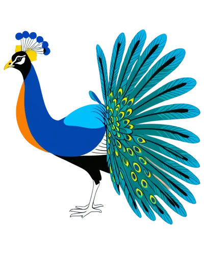 peacock,blue peacock,male peacock,pavo,flower and bird illustration,pajarito,an ornamental bird,takahe,bird illustration,bird png,blue crane,peafowl,jacana,peacocks carnation,garrison,chamoiseau,megapode,indian peafowl,oiseau,ornamental duck,Illustration,Vector,Vector 01