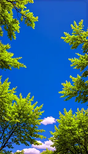 Windy scenery, blue sky, white puffy clouds, gentle breeze, blowing trees, swaying branches, leaves dancing in air, soft focus, warm sunlight, 3/4 composition, shallow depth of field, vibrant color to