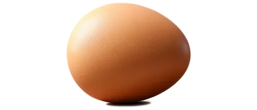 cosmetic brush,brown egg,bisected egg,large egg,egg shell,golden egg,painted eggshell,ellipsoid,egg,crystal egg,ellipsoids,tamago,painting easter egg,specular,rendered,chicken egg,egg yolk,blender,gradient mesh,sand seamless,Illustration,Realistic Fantasy,Realistic Fantasy 30