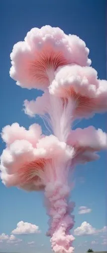 cumulus nimbus,cloud mushroom,mushroom cloud,cloud towers,nimbus,cotton candy,towering cumulus clouds observed,cloud image,cumulus cloud,cumulonimbus,chinese clouds,thunderheads,cloudporn,cumulus clouds,rainbow clouds,paper clouds,strokkur,cumulus,cloud formation,geyser strokkur,Photography,Black and white photography,Black and White Photography 06