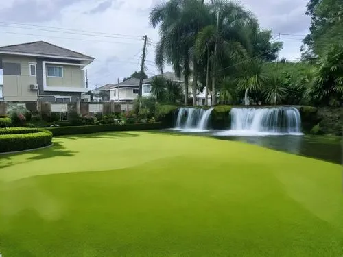 flower in water fall colorful ,an image of the back yard of a house,golf lawn,feng shui golf course,green lawn,green waterfall,water hazard,zoysia