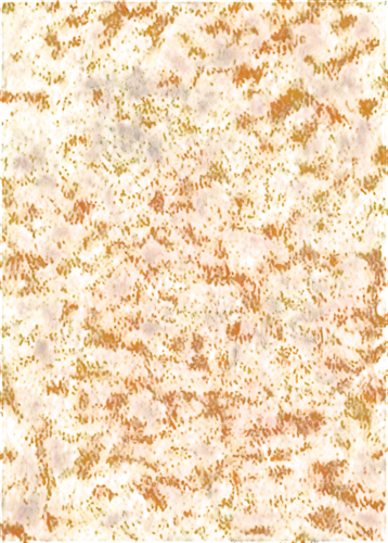 brown mold,seamless texture,biofilms,sargassum,biofilm,biofouling,springtails,nanorods,immunohistochemical,yeasts,epidermis,koli bacteria,kngwarreye,autoradiography,neurospora,springtail,pythium,epidermidis,puccinia,xanthomonas,Conceptual Art,Sci-Fi,Sci-Fi 22