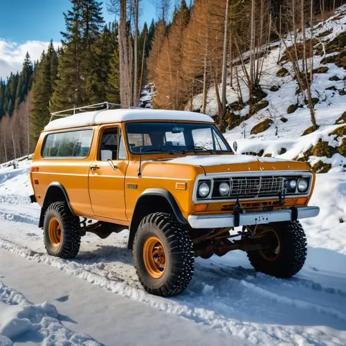 tatra,landcruiser,wagoneer,uaz,lada,bronco,Photography,General,Realistic