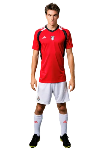 halfpenny,biggar,carras,lichaj,makinson,carrick,exequiel,flyhalf,volland,shingler,derivable,soccer player,welshman,sobhi,aboutrika,gourcuff,midfielder,alario,pantelic,gibraltarian,Photography,Black and white photography,Black and White Photography 14