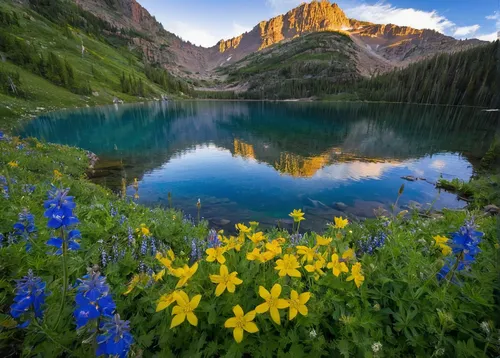 alpine lake,heaven lake,alpine meadow,alpine flowers,colorado,emerald lake,united states national park,mountain meadow,bow lake,snake river lakes,rocky mountain,lilies of the valley,mountain lake,beautiful lake,alpine forget-me-not,lake moraine,high mountain lake,aspen,dove lake,wyoming,Illustration,Realistic Fantasy,Realistic Fantasy 10