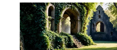 abbaye de belloc,buttresses,abbaye,rievaulx,tintern,buttressing,buttressed,archways,cloister,buttress,dartington,monastic,cloisters,dunglass,windows wallpaper,dinefwr,batsford,margam,ruine,pointed arch,Photography,Black and white photography,Black and White Photography 12