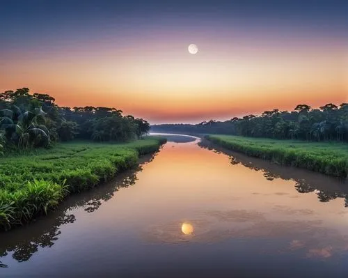 kinabatangan,ambalapuzha,bharathapuzha,river landscape,angkor,kerala,vietnam,backwaters,bangladesh,alappuzha,siemreap,nile river,landscape photography,cambodia,kalimantan,river delta,kanchanaburi,amazonas,indonesia,bordyuzha,Photography,General,Realistic