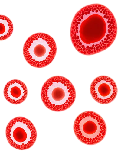 blood cells,red blood cells,erythrocyte,blood cell,red blood cell,coronavirus,coronaviruses,blood collection tube,dot,blood group,coronavirus test,blood icon,mitosis,cells,virus,blood collection,biosamples icon,meiosis,blood plasma,globules,Illustration,Abstract Fantasy,Abstract Fantasy 07