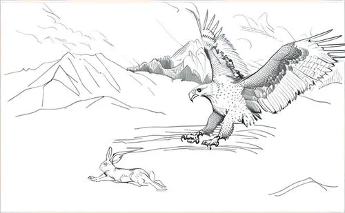 an eagle chasing a rabbit in the mountains,eagle illustration,eagle drawing,gryphon,white eagle,eagle vector,gray eagle,line art birds,griffon vulture,mountain hawk eagle,eagle,reconstruction,harpy,mo