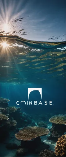 cottagecore,submerge,concierge,ocean background,courage,comatus,copyspace,coronarest,cryptocoin,crypto mining,digital currency,underwater landscape,cube sea,submersible,connectcompetition,underwater background,corrosive,crypto-currency,courageous,core,Photography,Artistic Photography,Artistic Photography 01