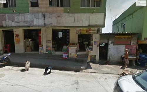 street view,dog street,storefront,storefronts,shophouses,exarchia,google maps,pet shop,store fronts,dog cafe,nolita,street dog,bodeguita,street cat,marigny,bodega,street dogs,bairro,shopfront,alleycat