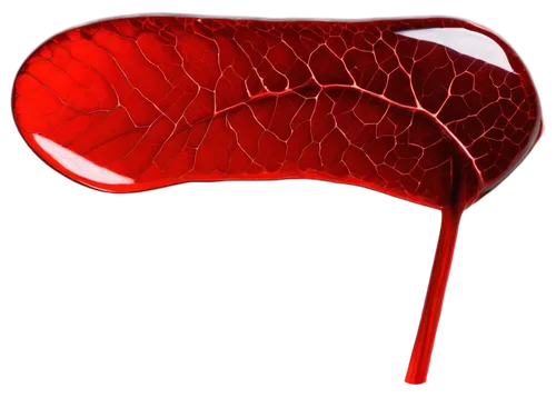 Dark red blood clot, irregular shape, translucent texture, detailed veins, glossy surface, subtle shine, macro shot, close-up composition, dramatic lighting, high contrast, warm color tone.,hemoglobin