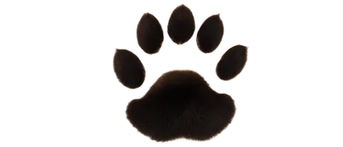 bear paw,paw print,pawprint,wolpaw,cat's paw,paw,handshake icon,tigerstar,shadowclan,dog cat paw,dog paw,forepaws,hand digital painting,lab mouse icon,pawprints,ravenpaw,brambleclaw,riverclan,catclaw,warning finger icon,Illustration,American Style,American Style 05