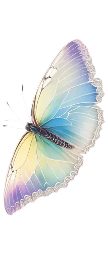 butterfly vector,butterfly clip art,blue butterfly background,flutter,butterfly background,ulysses butterfly,morpho,hesperia (butterfly),glass wing butterfly,butterflay,papillon,butterfly,morpho butterfly,aurora butterfly,vanessa (butterfly),cupido (butterfly),french butterfly,isolated butterfly,c butterfly,butterfly isolated,Art,Artistic Painting,Artistic Painting 41