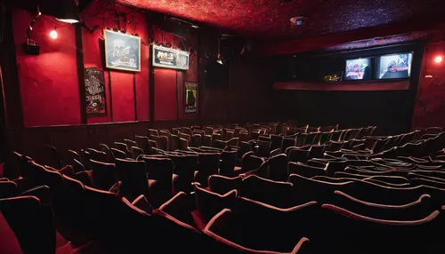 empty theater,movie theater,cinema seat,movie theatre,theater,atlas theatre,music venue,digital cinema,cinema,movie palace,pitman theatre,theatre,smoot theatre,comedy club,silviucinema,rows of seats,old cinema,theater stage,home cinema,orchestra pit,Photography,Documentary Photography,Documentary Photography 19