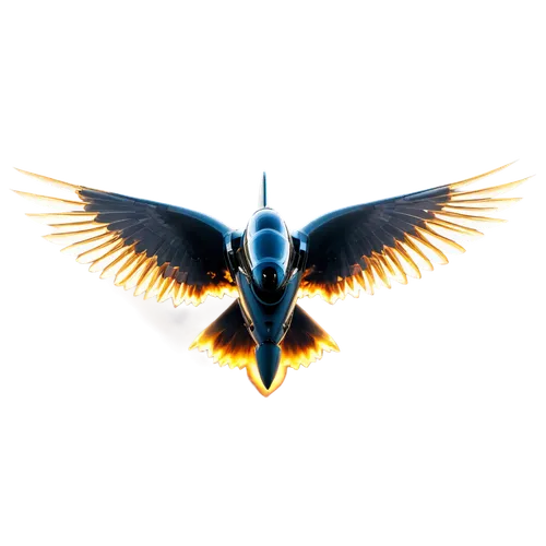 uniphoenix,eagle vector,psygnosis,seraph,angel wing,starhawk,darkhawk,fireflight,angelfire,seraphim,archangel,pheonix,silverbolt,phoenixes,cygnes,deathbird,winged heart,lightcraft,fenix,sunburst background,Photography,Documentary Photography,Documentary Photography 20