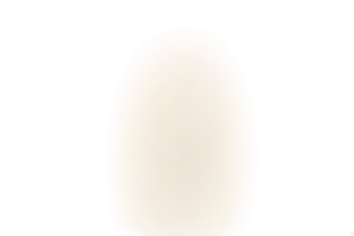 lemurian,acleris,shivalingam,eckankar,otoliths,abhisheka,otolith,chalcedony,chalcedon,ciliate,moonstones,liposome,moonstone,sunstone,deupree,lingam,opaline,pill icon,alcyone,light cone,Illustration,Vector,Vector 06