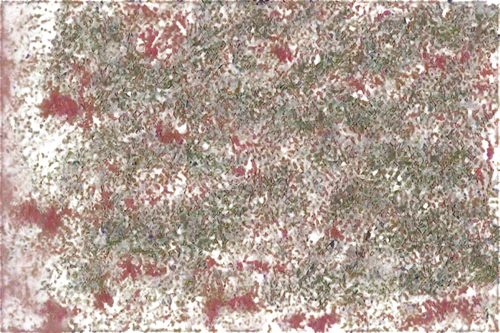 marpat,seamless texture,rug,carpet,sphagnum,amaranth,terrazzo,degenerative,carpeted,carpets,carafa,kngwarreye,background ivy,porphyry,sackcloth textured background,meditrust,generative,blotter,biofilm,floral pattern paper,Photography,Fashion Photography,Fashion Photography 14