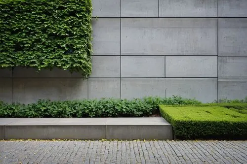 green plants,exposed concrete,landscaped,boxwoods,buxus,concrete,ground cover,boxwood,concrete wall,block of grass,grono,cement wall,sidewalk,landscaper,groundcovers,landscaping,concrete background,microhabitats,paved square,concrete blocks,Conceptual Art,Oil color,Oil Color 15