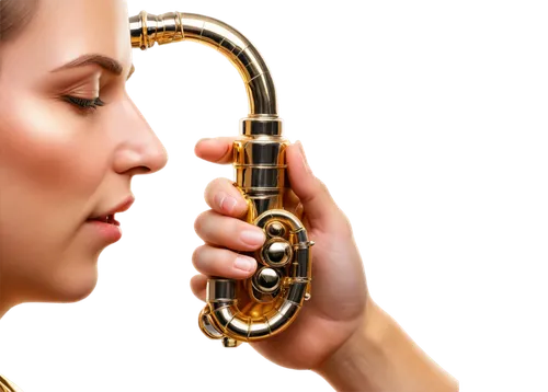 embouchure,flugelhorn,brass instrument,saxhorn,mouth harp,fanfare horn,wind instrument,wind instruments,transverse flute,trumpeting,trumpet,instrument trumpet,trumpet player,saxophone playing man,flutist,trombone player,saxophone,cornetist,tuba,jaw harp,Art,Classical Oil Painting,Classical Oil Painting 29