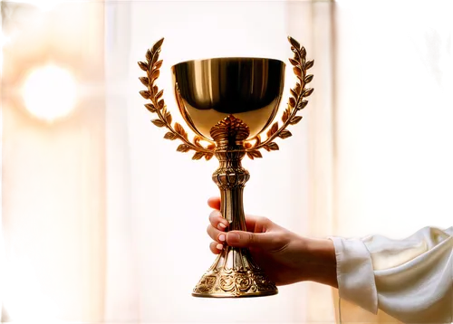 gold chalice,chalice,trophy,trophee,award,goblet,chalices,the hand with the cup,pokal,piala,award background,honor award,trophies,golden candlestick,prize,thurible,trophonius,ciborium,prizewinning,the cup,Photography,Artistic Photography,Artistic Photography 07