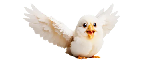 white eagle,cockatoo,gwe,dove of peace,anjo,bird png,schadler,uniphoenix,cacatua,white dove,gullfaks,cherubim,aguiluz,whitelocke,kagu,quickbird,gryfino,coq,pombo,cygnes,Conceptual Art,Oil color,Oil Color 16