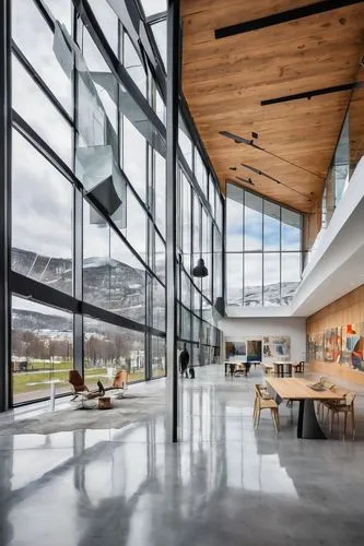 snohetta,bohlin,gensler,epfl,bjarke,school design,ski facility,phototherapeutics,vitra,home of apple,schulich,modern office,modern architecture,glass wall,daylighting,macewan,interior modern design,jadwin,kettunen center,ubc,Illustration,Black and White,Black and White 25