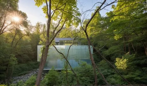 wassaic,mirror house,fallingwater,tree house hotel,hydropower plant,yaddo,penstock,treehouse,waldsee,biosphere,hanging bridge,giverny,zumthor,penstocks,hydroelectricity,cheakamus,treehouses,chedoke,clarifier,house in the forest,Photography,General,Realistic