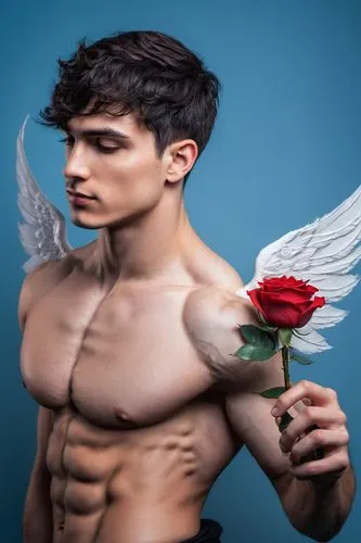 cupid,cupido (butterfly),eros statue,eros,rose png,archangel,male ballet dancer,business angel,male model,winged heart,valentin,angel wings,guardian angel,male elf,the archangel,fallen angel,angel figure,photoshop manipulation,baroque angel,image manipulation,Photography,Documentary Photography,Documentary Photography 24