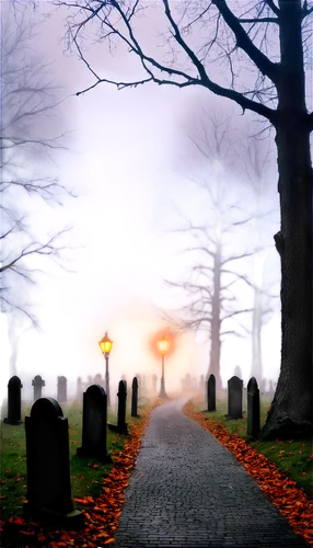 cemetary,halloween background,cemetry,forest cemetery,graveyards,cemetery,old graveyard,graveyard,grave light,burial ground,burials,halloween scene,tombstones,old cemetery,halloween border,samhain,grave stones,epitaphs,gravestones,graveside,Art,Classical Oil Painting,Classical Oil Painting 06