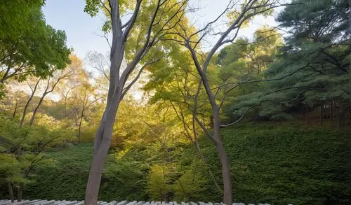 The frame is a stunning display of a large, rectangular block in the shape of a pillar, surrounded by vibrant stonework. The structure elongates upon a serene pond, its smooth surface glinting in the 