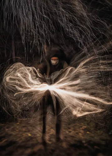 Write a suspenseful story about Lamont Johnson uncovering a dark secret.,steel wool,steelwool,drawing with light,supernatural creature,light painting,lightpainting,nine-tailed,shamanic,apophysis,photo