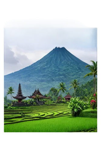 indonesia,bali,east java,ubud,landscape background,rice terrace,mount agung,balinese,pura mandara giri semeru agung,semeru,rice fields,padang,indonesia idr perak,indonesian,ricefield,rice field,rice paddies,lombok,borobodur,north sumatra,Photography,Black and white photography,Black and White Photography 13