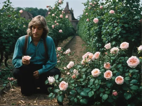 rose garden,1971,1973,vosges-rose,1967,john lennon,hedge rose,girl in flowers,girl in the garden,secret garden of venus,way of the roses,lady banks' rose ,lady banks' rose,with roses,rosa zephirine drouhin,historic rose,scent of roses,picking flowers,1965,woods' rose,Photography,Documentary Photography,Documentary Photography 12