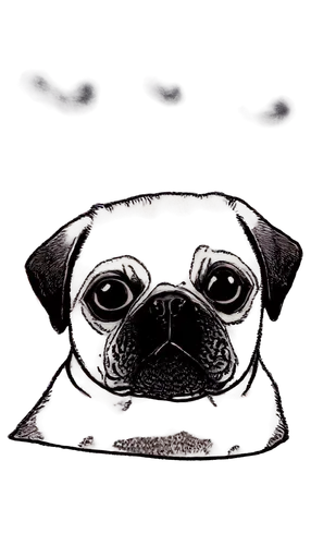 puga,edgar,pug,pugalur,dog frame,pugni,oberweiler,dogana,pugs,frug,emogi,shih tzu,pugnacity,pupilla,pugach,mozote,neutrino,mastino,pugmire,et,Illustration,Black and White,Black and White 11