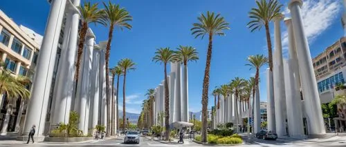 beverly hills,washingtonia,royal palms,csuf,csula,heads of royal palms,two palms,lacma,date palms,hollyfield,wilshire,csulb,sjsu,los angeles,palms,ucr,palma trees,giant palm tree,fidm,pasadena,Conceptual Art,Daily,Daily 13