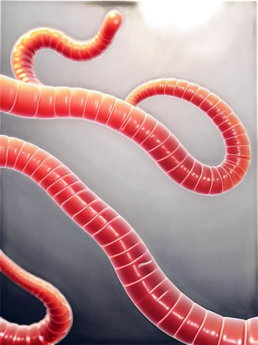 ebola,ebolavirus,shigella,azotobacter,klebsiella,pylori,leptospira,roundworms,campylobacter,arenavirus,clostridium,acinetobacter,shigellosis,flagella,roundworm,denebola,acetobacter,burkholderia,schistosomiasis,azoospermia,Conceptual Art,Sci-Fi,Sci-Fi 03