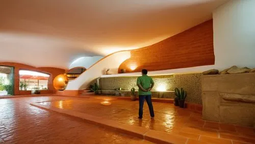 Modern Mexican Interior Design, Living Room, vibrant Mexican textiles, rustic terracotta tiles, lush indoor agave
,a man walking in the middle of a room,home interior,foyer,entrance hall,loft,lobby,gu