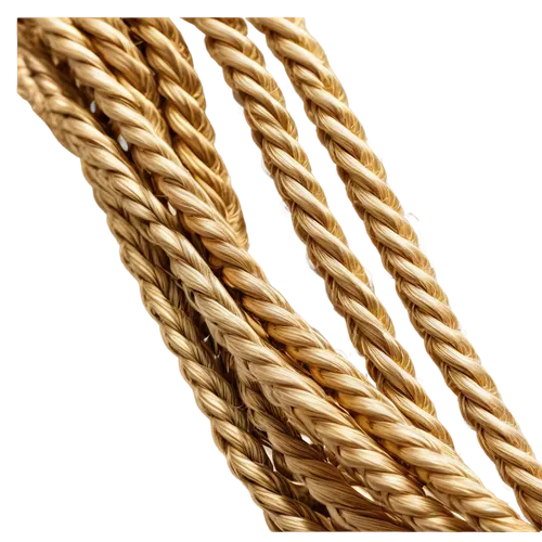 jute rope,woven rope,basket fibers,rope knot,elastic rope,rope,fastening rope,rope detail,natural rope,steel rope,sigourney weave,iron rope,cordage,boat rope,sailor's knot,hemp rope,mooring rope,elastic band,elastic bands,basket weaving,Art,Artistic Painting,Artistic Painting 50