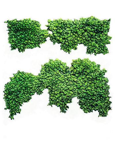 background ivy,parsley leaves,spring leaf background,green wallpaper,azolla,buxus,microalgae,chloropaschia,duckweed,bryophytes,bryophyte,greenmail,broccolini,hedge,green grapes,gum leaves,chlorophyll,green leaves,green border,colepeper,Illustration,Black and White,Black and White 18