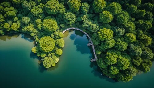 green trees with water,aerial landscape,people in nature,aerial photography,green forest,background view nature,green wallpaper,floating over lake,row of trees,bird's eye view,green landscape,drone image,forests,drone view,nature landscape,green trees,drone shot,dji agriculture,mavic 2,drone photo,Photography,General,Realistic