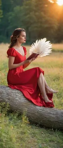 angel wing,girl in a long dress,anjo,angel wings,flamenca,mulawin