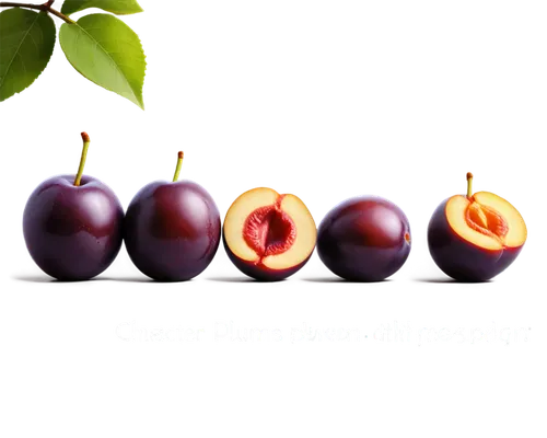 european plum,coffee fruits,purple chestnut,purple mangosteen,acerola family,davidson's plum,mangosteen,syzygium,gap fruits,plum,pome fruit family,colada morada,plums,jewish cherries,damson,dark olives,acai,edible fruit,chestnut fruits,grape hyancinths,Unique,Design,Character Design