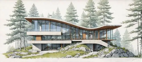 this is a nice contemporary house in the forest,timber house,forest house,bohlin,snohetta,house in mountains,house in the mountains,Unique,Design,Blueprint